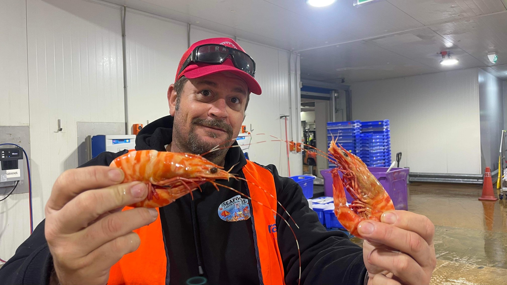 All you can Eat Tiger Prawns